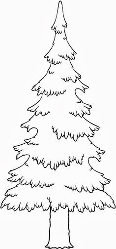 Pine trees coloring pages
