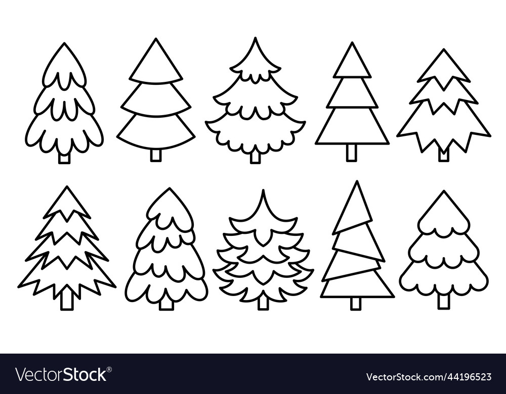 Christmas tree line coloring book pine spruce fir vector image