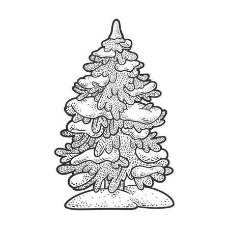 Pine tree coloring page stock vector illustration and royalty free pine tree coloring page clipart