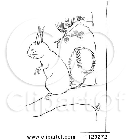 Cartoon clipart of an outlined squirrel on a pine tree branch