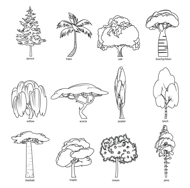 Tree trunk coloring page stock illustrations royalty