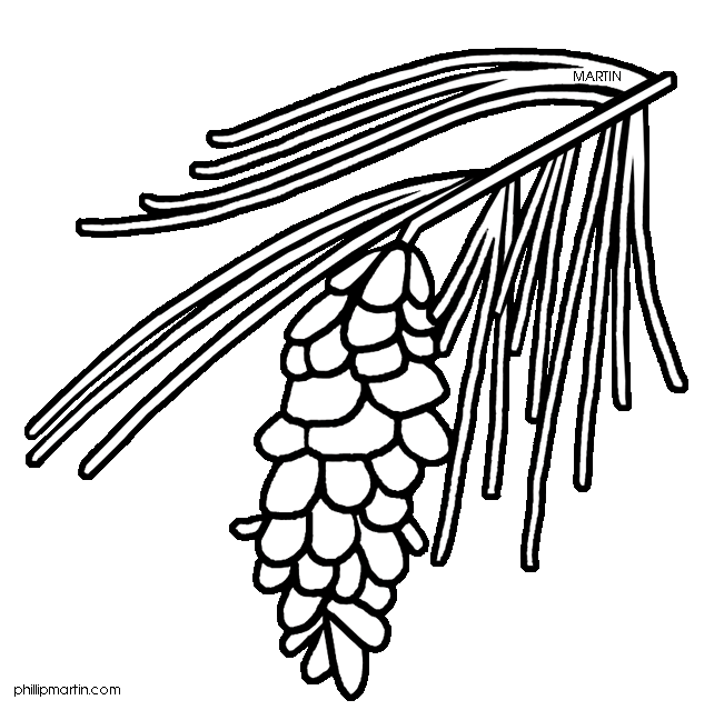 Pine tree branch clip art black and white art wallpaper flower coloring pages coloring pages