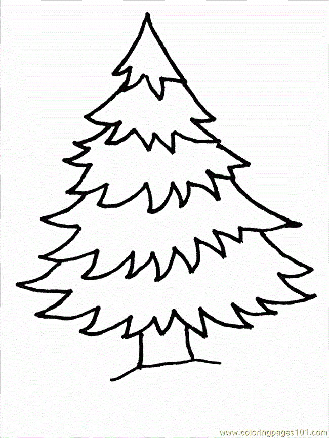 Pine tree to color