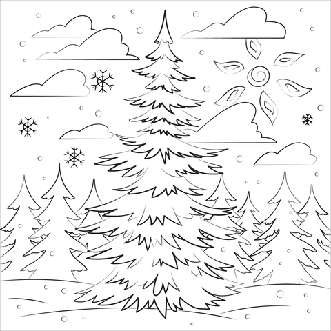 Evergreen tree coloring page free printable coloring pages