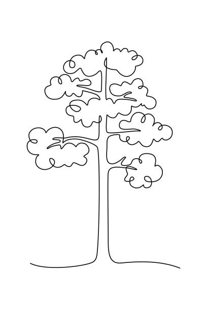 Vector single cartoon pine tree on white background stock illustrations royalty