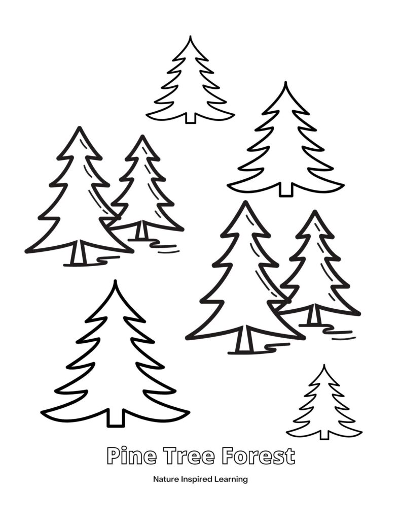 Pine tree coloring pages for kids