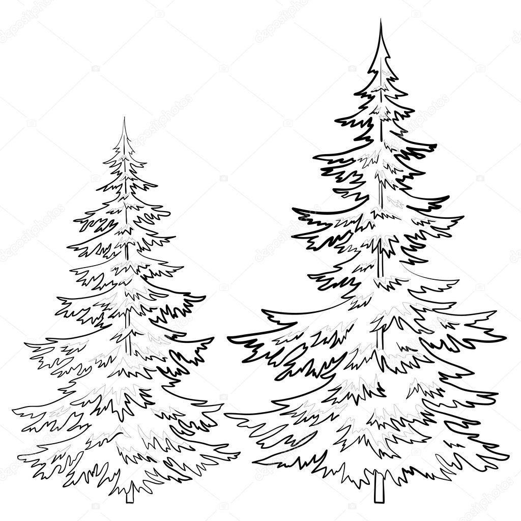 Pine tree drawings black and white sketch coloring page pine tree drawing christmas tree drawing tree drawings pencil