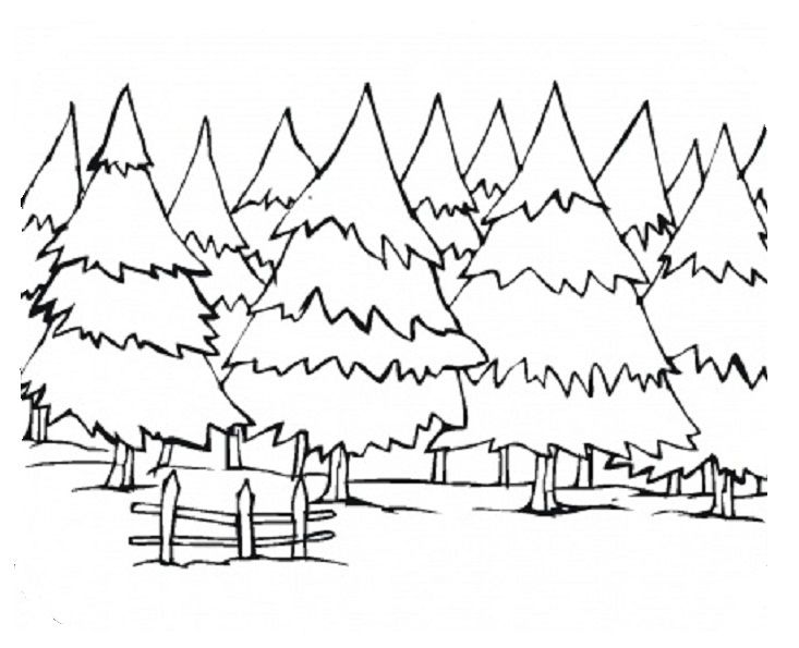 Pine trees coloring page tree coloring page coloring pages forest coloring pages