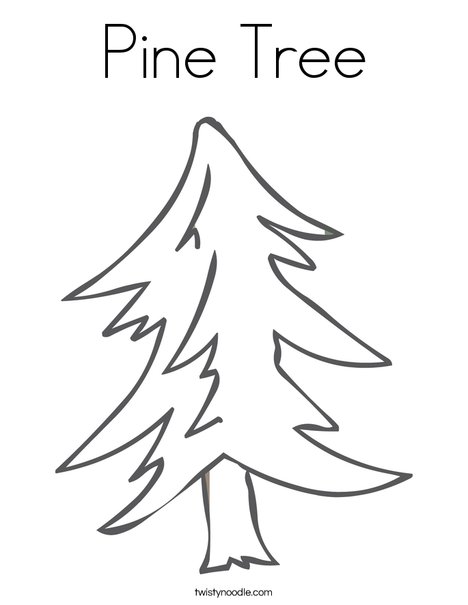 Pine tree coloring page