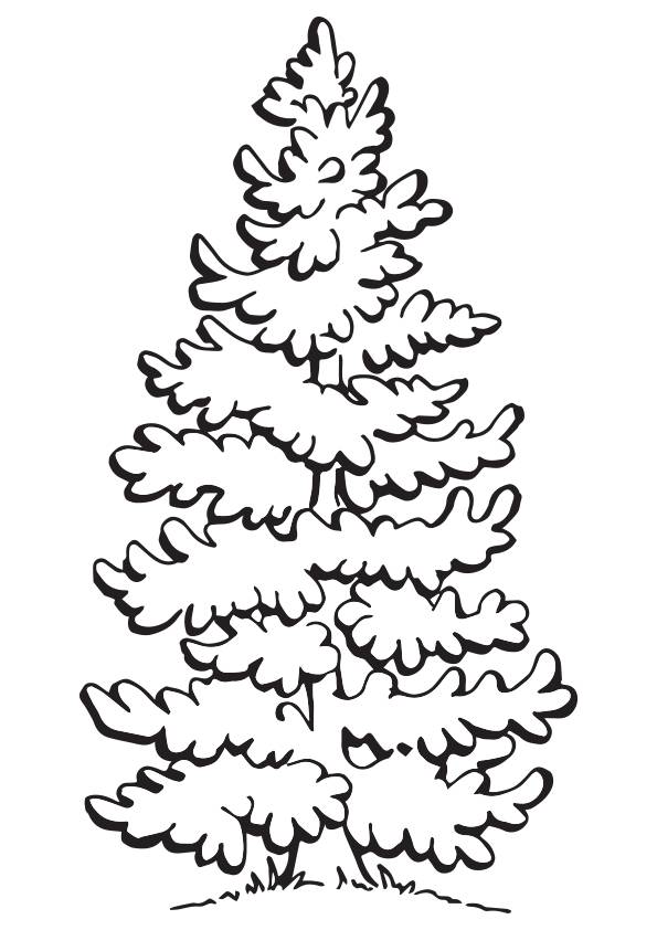 Free printable tree coloring pages for kids