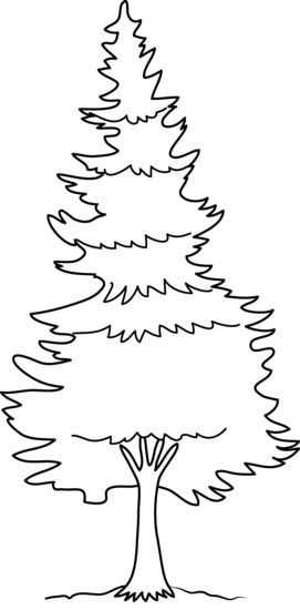 Tree coloring page free clip art coloring pages