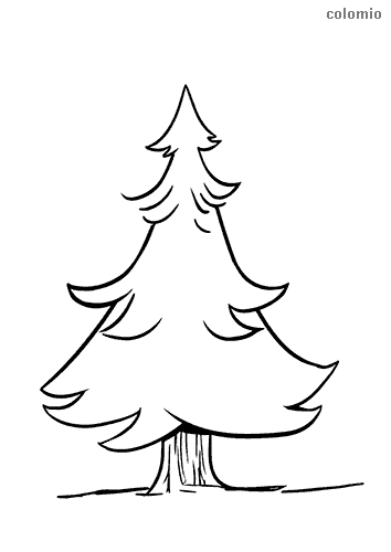 Pinetree coloring pages free printable pinetree coloring sheets