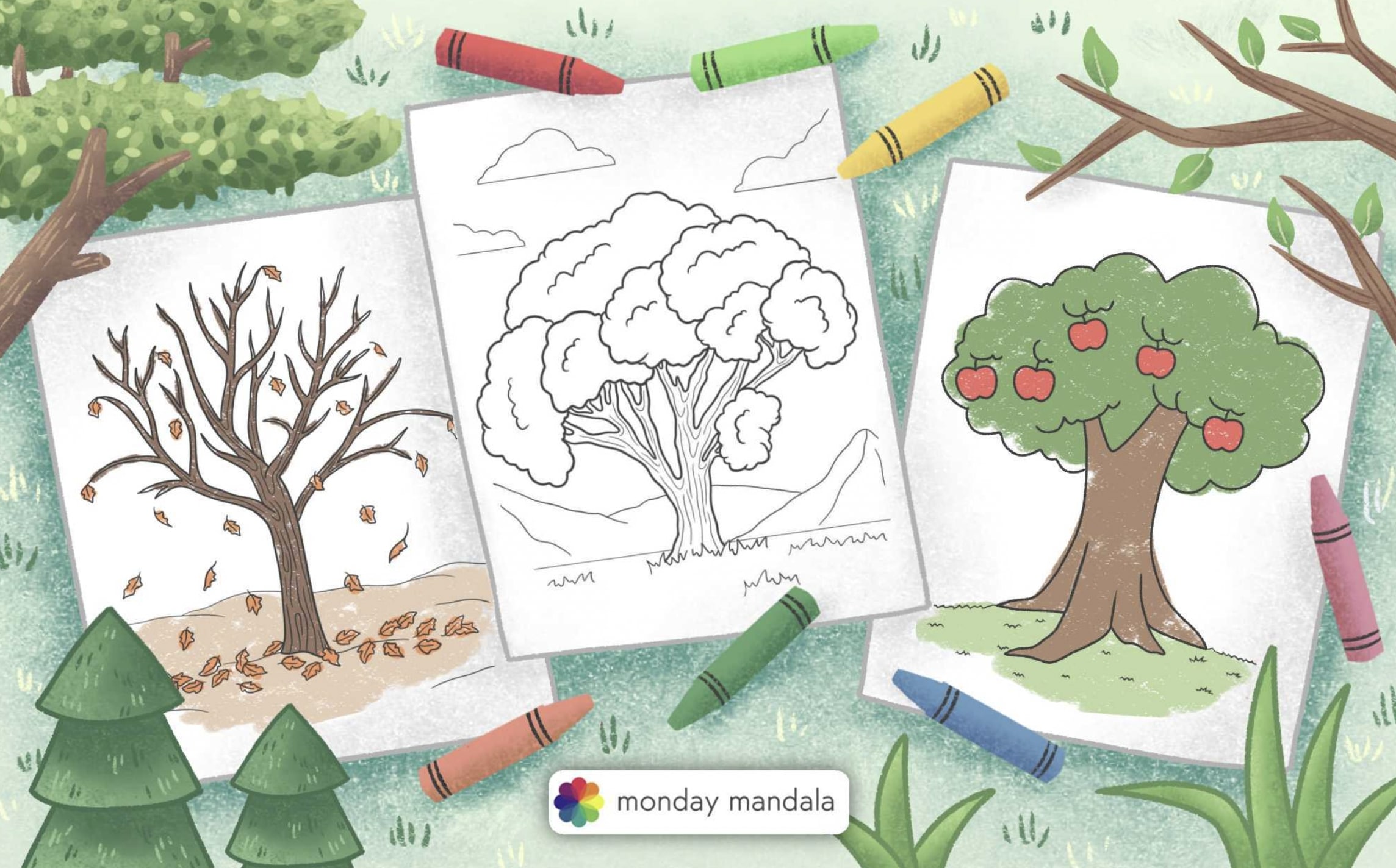 Tree coloring pages free pdf printables