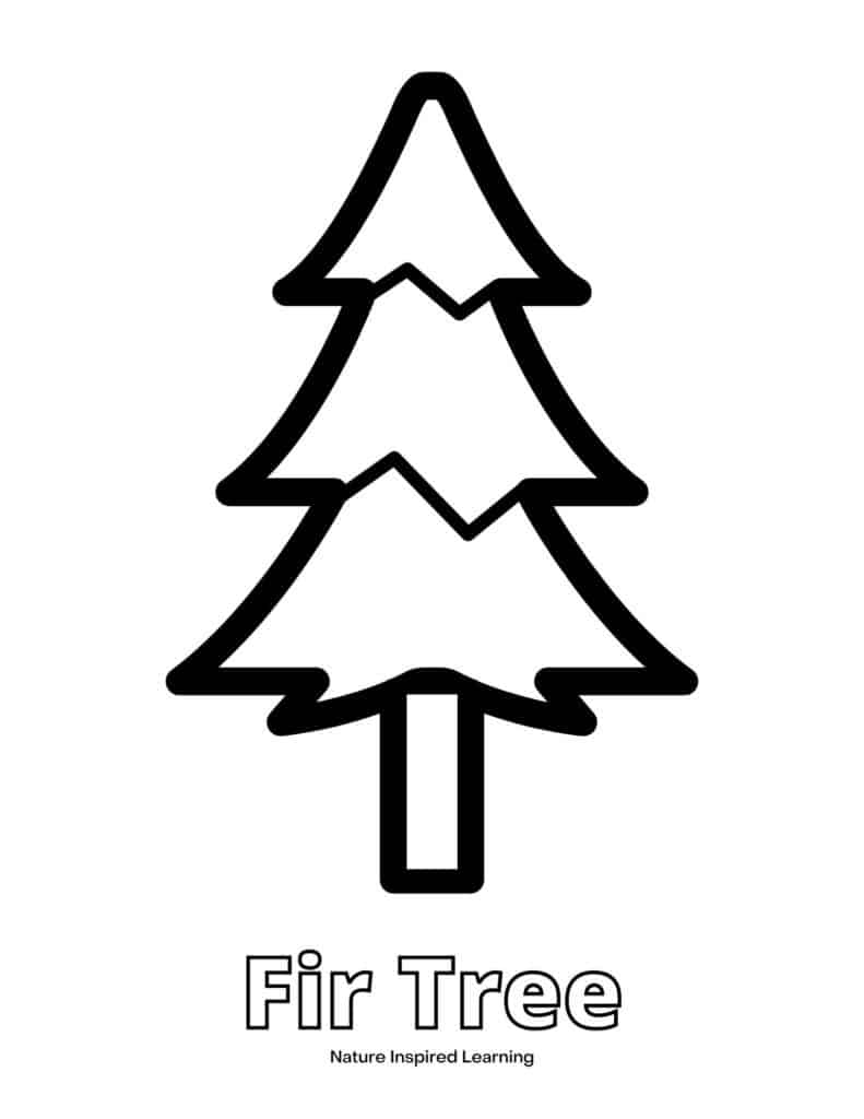 Pine tree coloring pages for kids