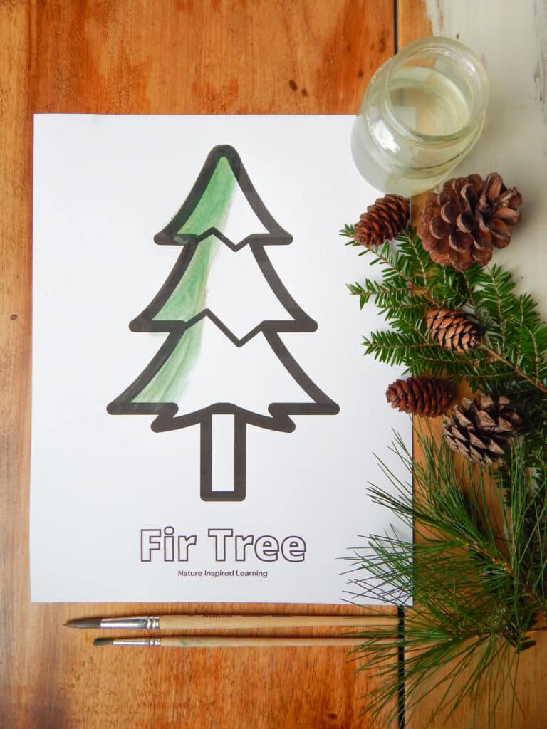 Pine tree coloring pages for kids