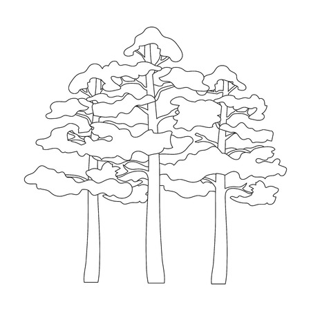 Pine tree coloring page stock vector illustration and royalty free pine tree coloring page clipart