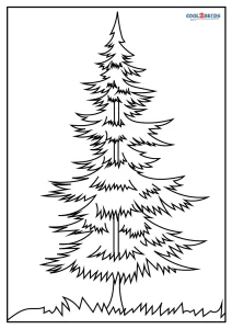 Free printable pine tree coloring pages for kids