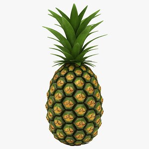 Pineapple d models for download