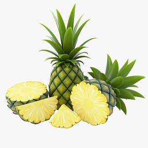 Pineapple d models for download