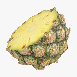 Pineapple d models for download