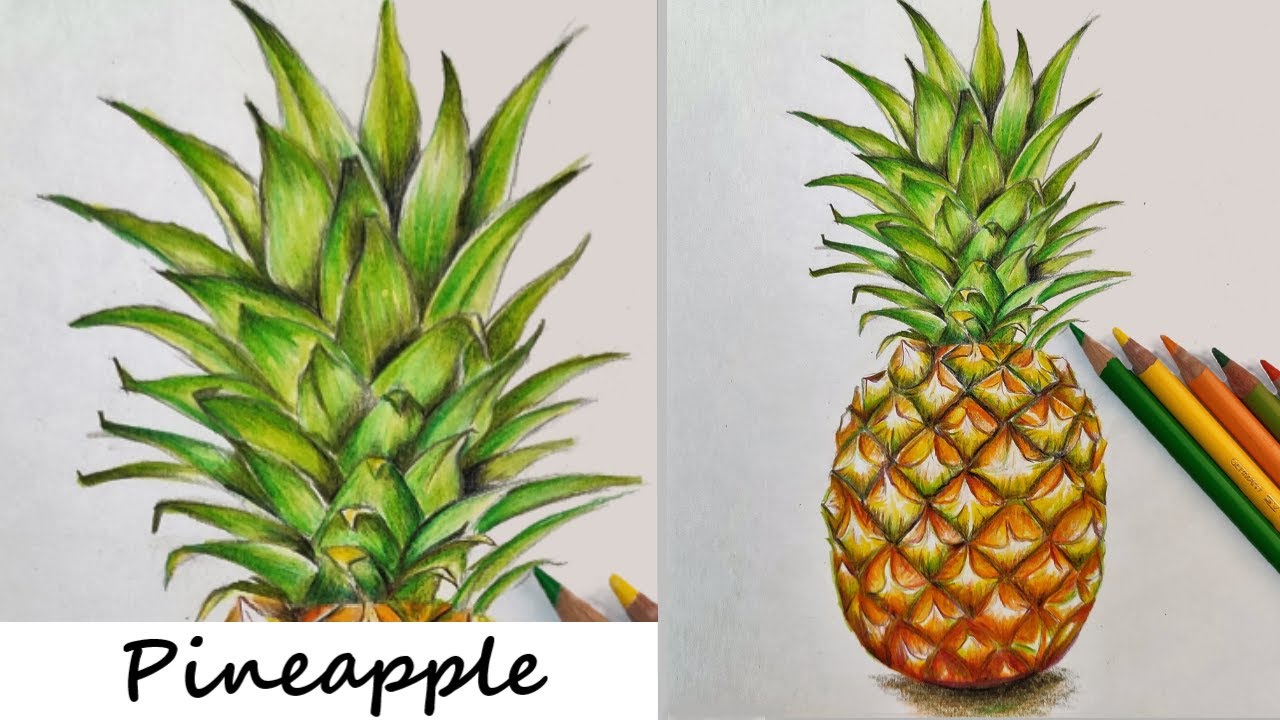 How to draw a pineapple using colour pencils