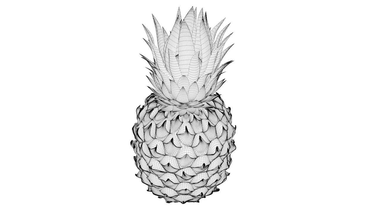 Pineapple