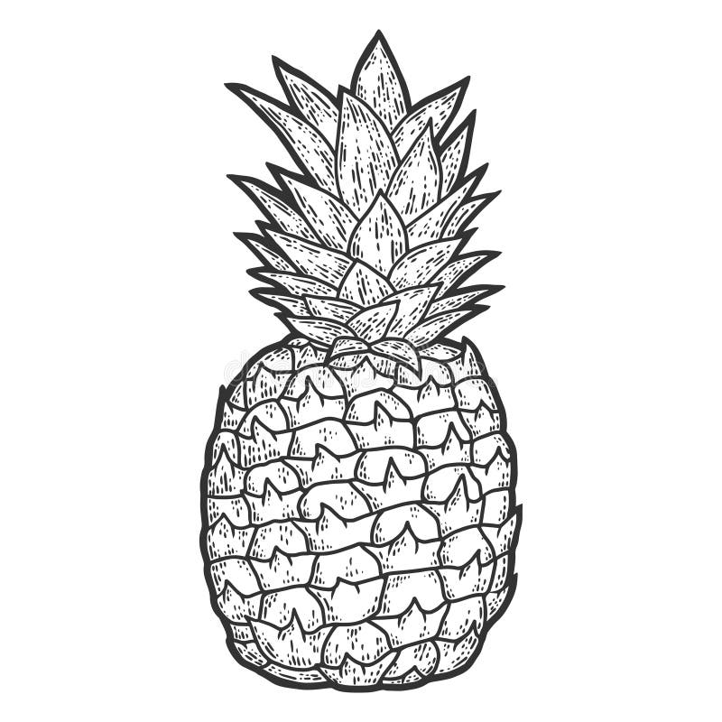 Fruit pineapple sketch scratch board imitation black and white stock illustration