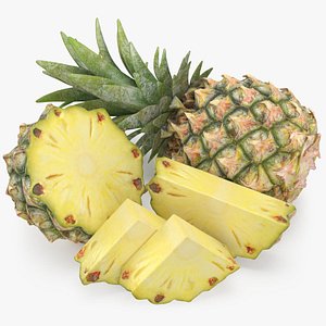 Pineapple d models for download