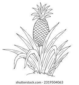 Pineapple tree cartoon images stock photos d objects vectors