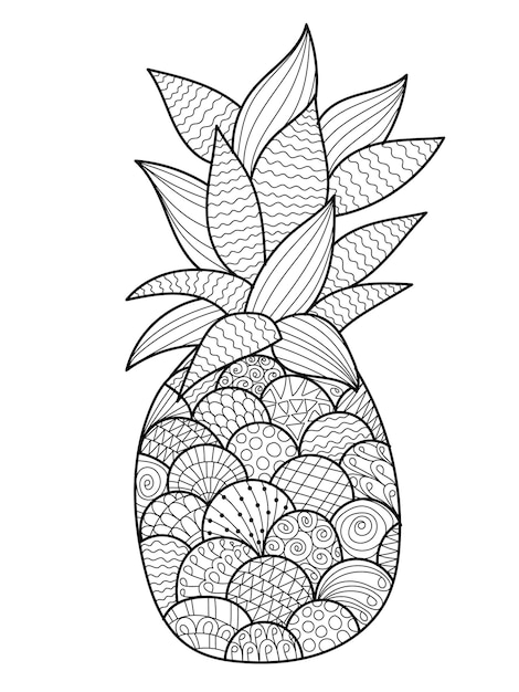 Pineapple coloring page vectors illustrations for free download