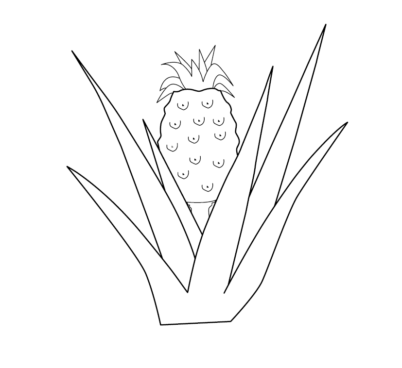 Pineapple colouring picture free colouring book for children â monkey pen store