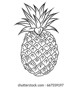 Pineapple coloring book images stock photos d objects vectors