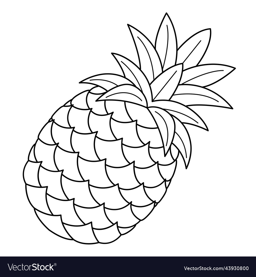 Pineapple fruit isolated coloring page for kids vector image