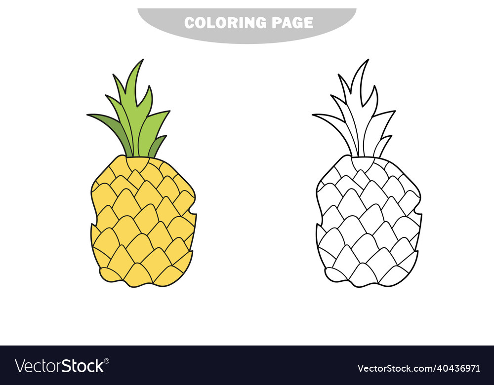 Simple coloring page the pineapple to be colored vector image