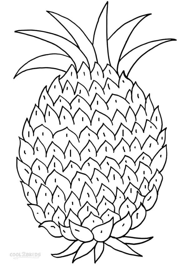 Free pineapple coloring page
