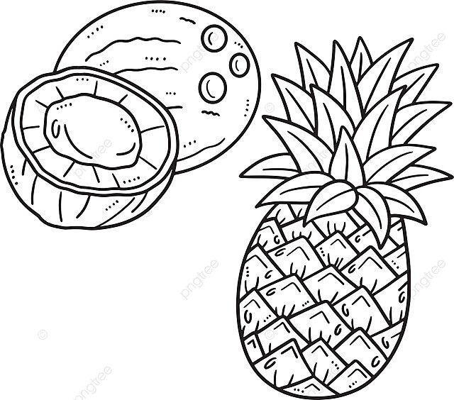 Coconut and pineapple isolated coloring page colouring page isolated drawing vector colouring page isolated drawing png and vector with transparent background for free download