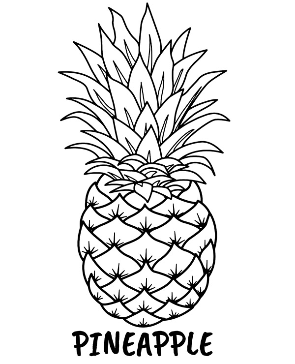 Pineapple coloring page sheet fruit