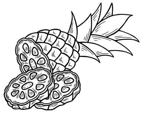 Pineapples coloring pages free coloring pages