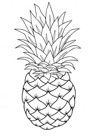 Free printable pineapple coloring pages for adults and kids