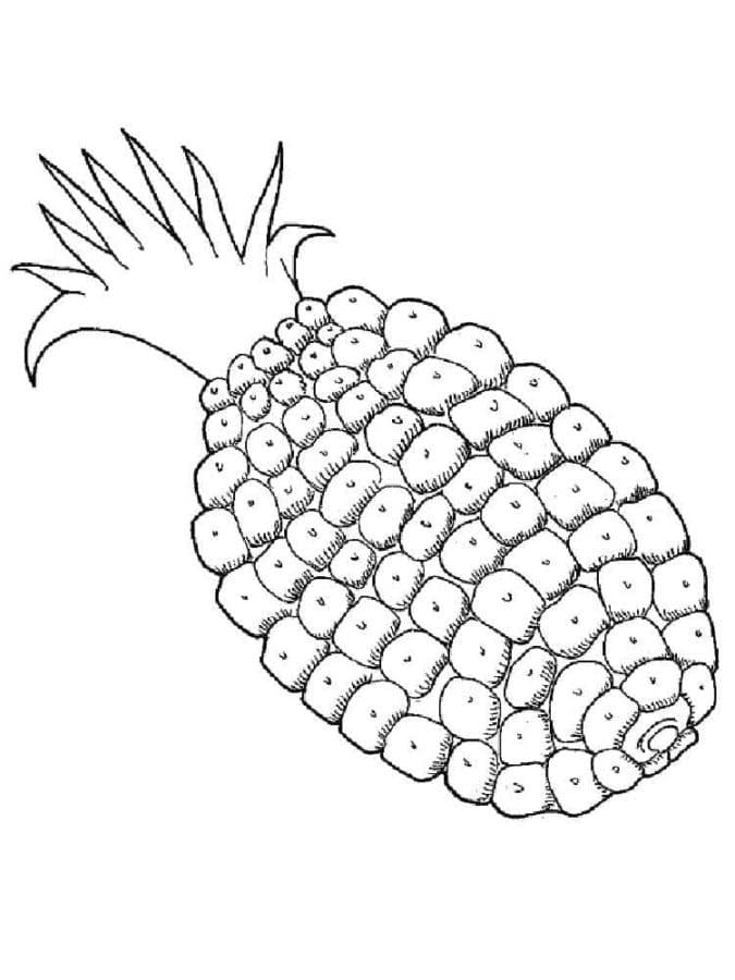 Pineapple printable coloring page