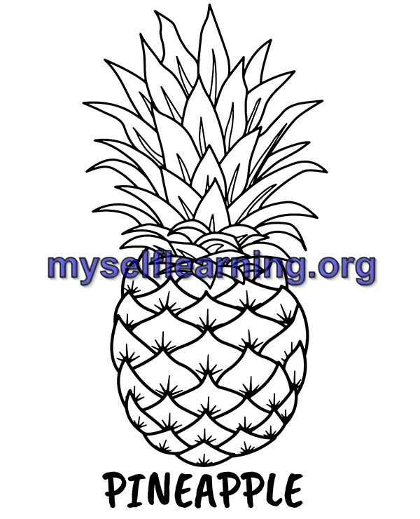 Fruits coloring sheet instant download