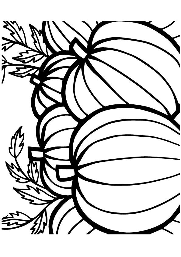 Free printable pineapple coloring picture assignment sheets pictures for child