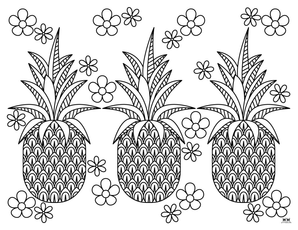 Pineapple coloring pages