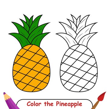 Premium vector coloring book for kids pineapple vector graphics