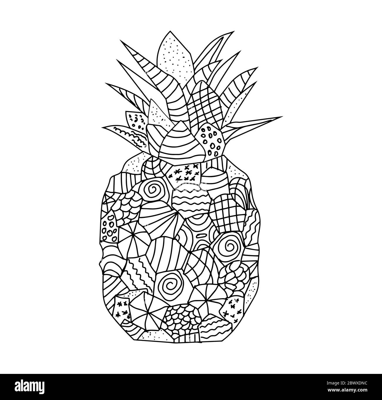 Whole pineapple with leaves with geometric pattern in doodle style on a white background coloring page stock vector image art