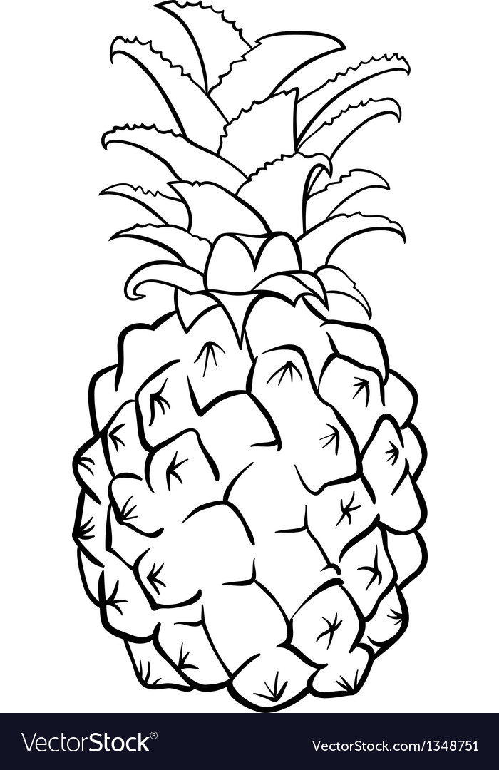 Pineapple fruit for coloring book royalty free vector image