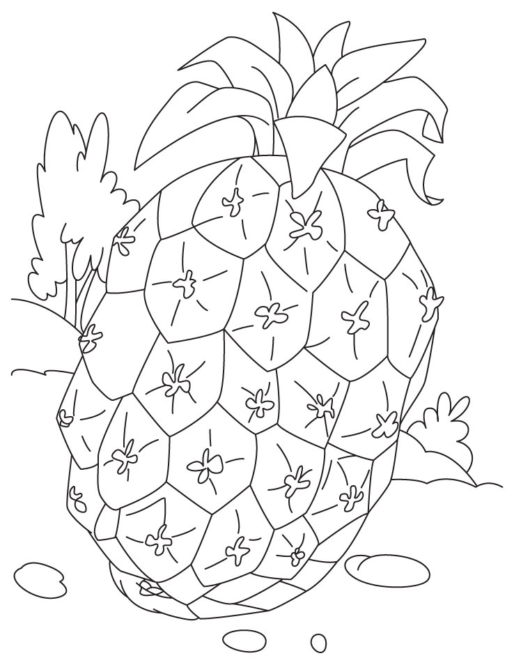 Pineapple fruit coloring pages download free pineapple fruit coloring pages for kids best coloring pages