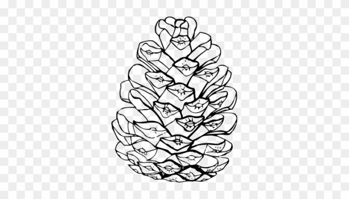 Free pinecone clipart