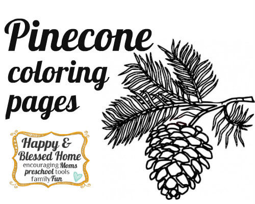 P is for pinecone preschool activities and crafts