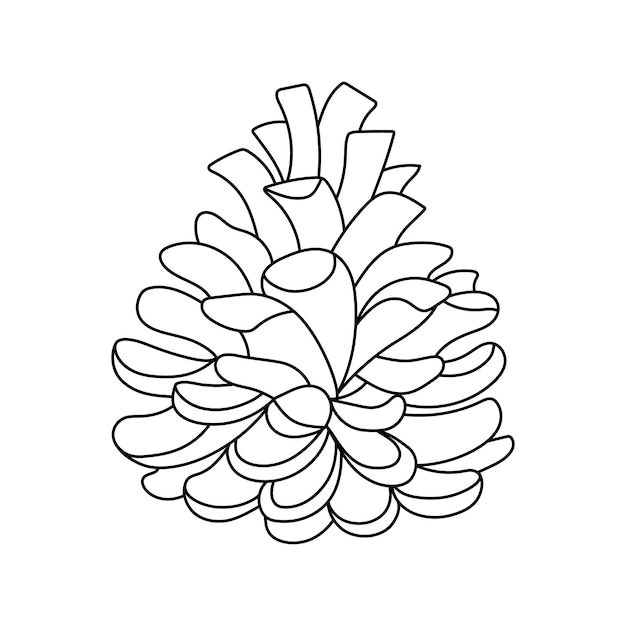 Premium vector hand drawn outline pine cone